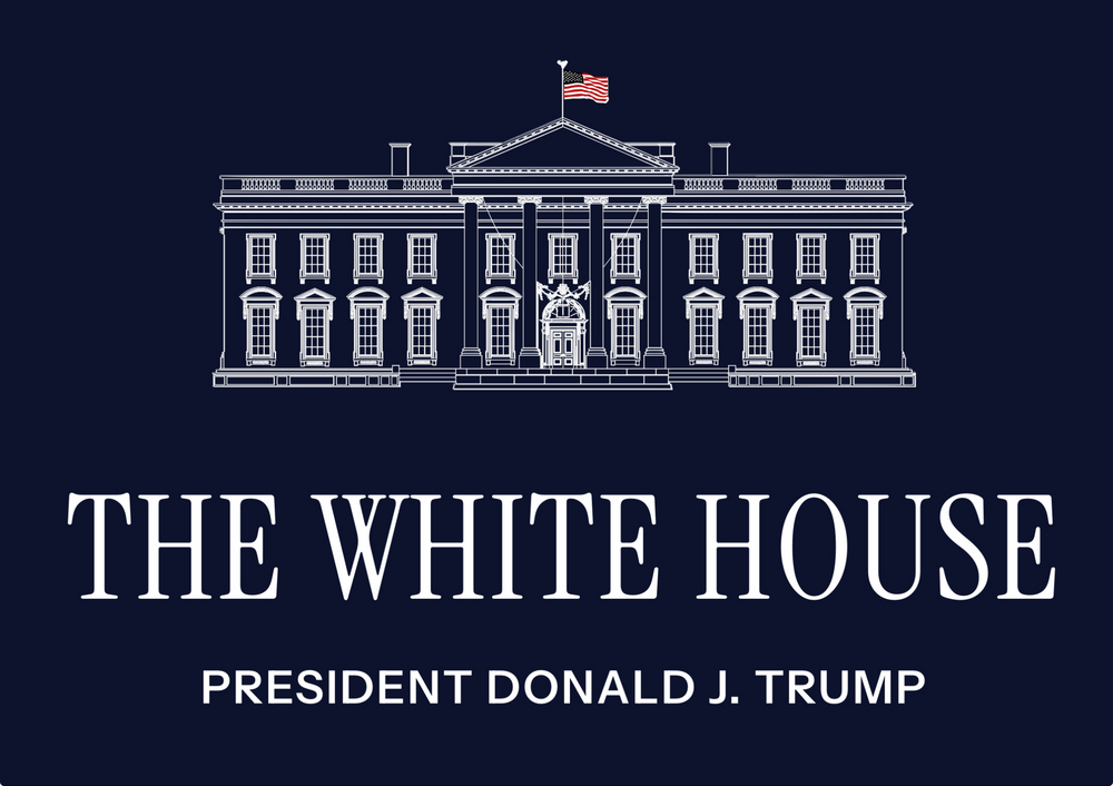 President Trump First 100 Days Analysis Webinar
